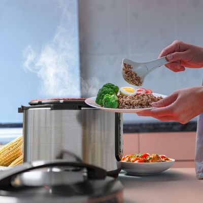 PAN PRESSAO ELET BRITANIA BPP05P 5L INOX 110V Inox / 220