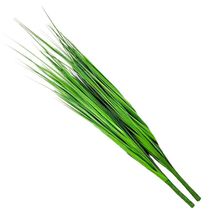 Kit 2 Folhagens Capim Verde Artificial 78cm