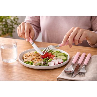 Jogo Talheres Faqueiro 12 Peças Inox Rosa Garfo Faca Colher Mesa