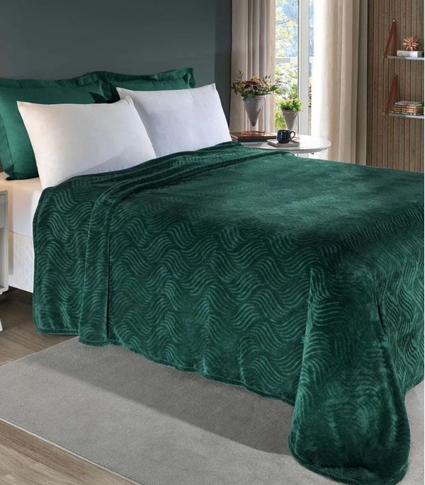 Cobertor Flannel Queen Lar E Lazer Verde UN / Verde