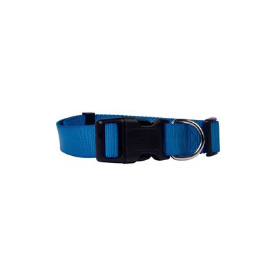 Coleira G Azul