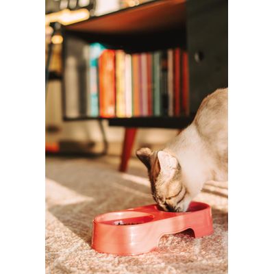 Kit Bandeja Higiênica com Pá e Comedouro Rosa