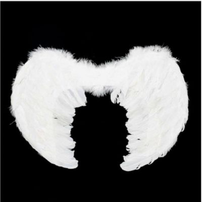 Asa De Anjo Branca Infantil - 45cm