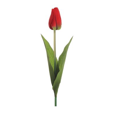 Haste de Tulipa Cetim Grillo Vermelha UNICA