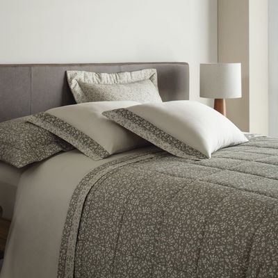 Jogo Cama Queen Buddemeyer 300 Fios Bud Vision Sage