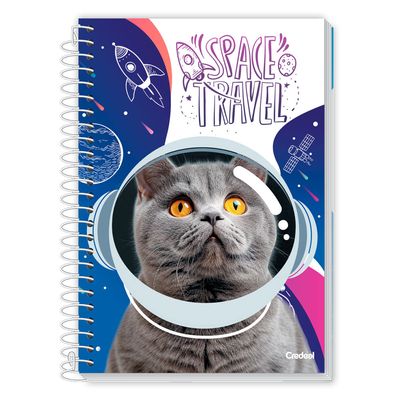 Caderno Universitário Feminino Mimo 160F/10 Matérias Credeal UNICA