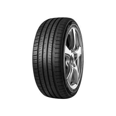 KIT 2 Pneus Sunwide RS-One 205/55 R17 Aro 17 95W
