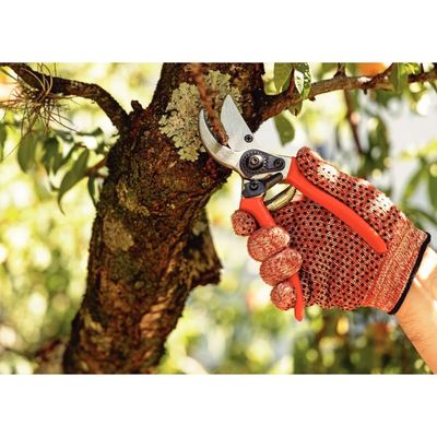 Conjunto 2 Tesoura Poda Tesourão Cabo Metálico Tramontina