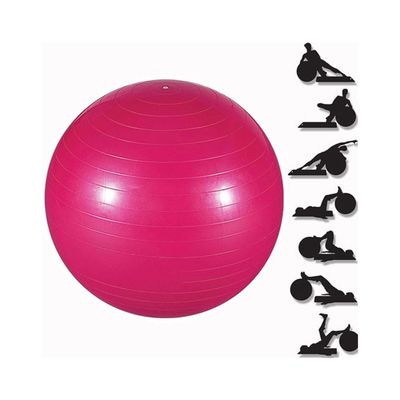 Bola para Ginástica Le Cinza UNICA