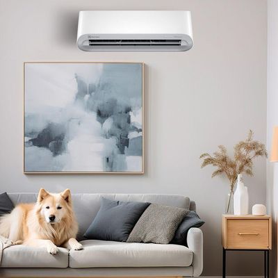 Ar Condicionado Split Hi Wall Inverter Electrolux Color Adapt Wi-fi 9000 BTUS Frio 220V