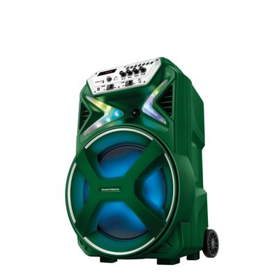Caixa Amplificada Palmeiras CMPA-01 Verde