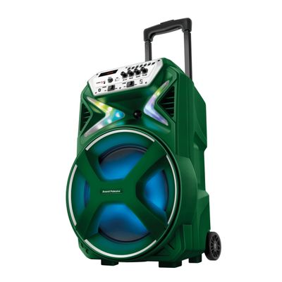 Caixa Amplificada Palmeiras CMPA-01 Verde