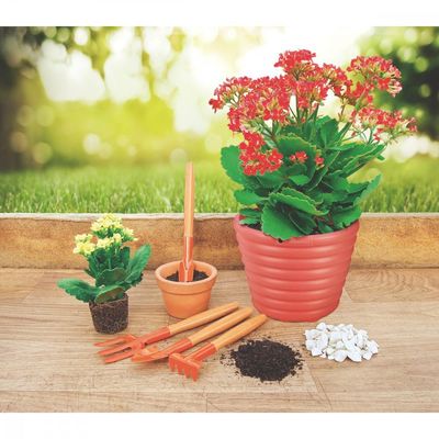 Conjunto para Jardinagem Tramontina Peças Metalicas com Cabo de Madeira 4 Peças