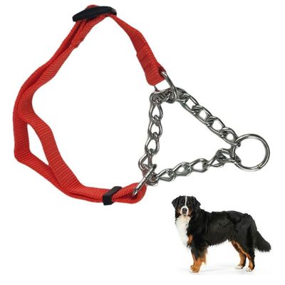 Coleira Nylon Guia Aço Elo Torcido Enforcador Pet G Porte