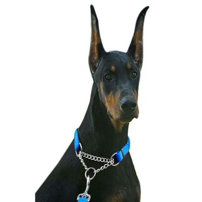 Coleira Cachorro Ajustavel Nylon EloTorcido Semi Enforcadora