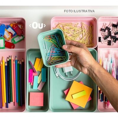 Organizador De Gavetas Logic Medio Ou Rosa Quartzo Ol300rsqt