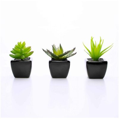 Kit 06 Suculentas Artificial Sortida Vaso Preto Unidades 6x6 Cm