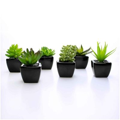 Kit 06 Suculentas Artificial Sortida Vaso Preto Unidades 6x6 Cm