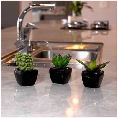 Kit 06 Suculentas Artificial Sortida Vaso Preto Unidades 6x6 Cm