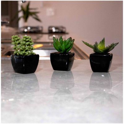 Kit 06 Suculentas Artificial Sortida Vaso Preto Unidades 6x6 Cm
