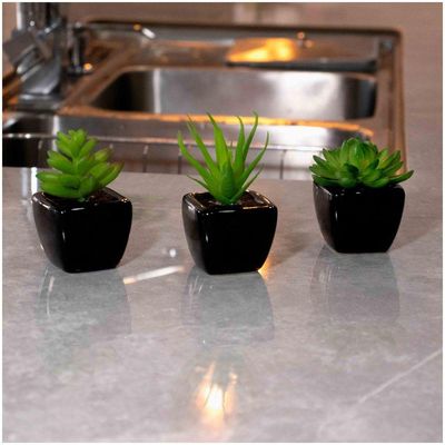 Kit 06 Suculentas Artificial Sortida Vaso Preto Unidades 6x6 Cm