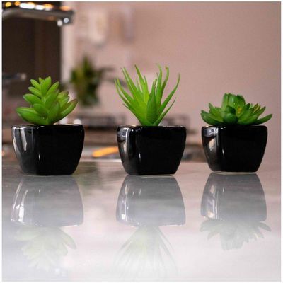 Kit 06 Suculentas Artificial Sortida Vaso Preto Unidades 6x6 Cm