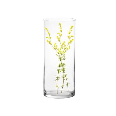 Vaso Cilindro Vidro 14x30cm