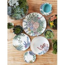 Aparelho de Jantar 20 peças Ceramica Unni Bothanica - Oxford