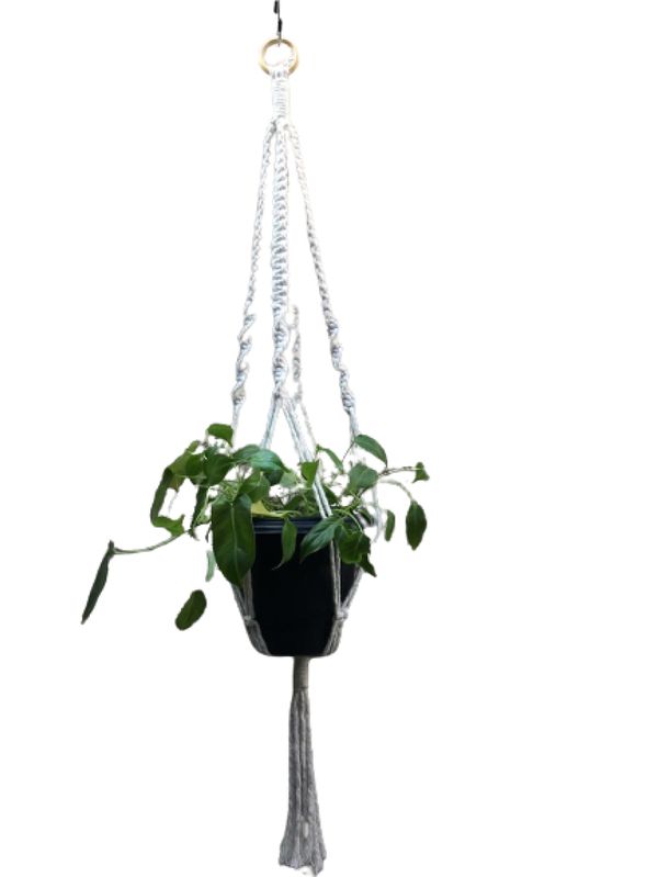 Suporte plantas macramê cru