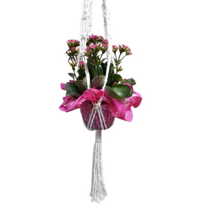 Suporte plantas macramê cru Iris