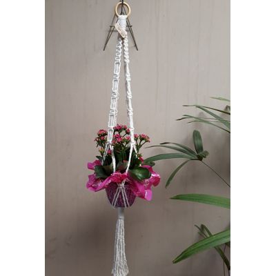Suporte plantas macramê cru Iris