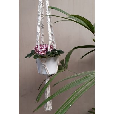 Suporte plantas macramê cru Iris