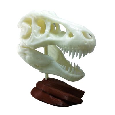 Esqueleto de Tiranossauro Rex feito com impressão 3D
