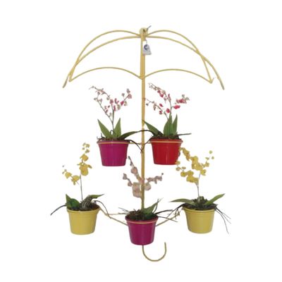 Suporte Plantas Guarda chuva Amarelo 5 Vasos