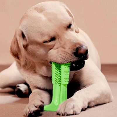 Escova Dentes Mordedor Canino Grande Limpeza Bucal Cachorro