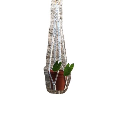 Suporte plantas macramê cru Anabel
