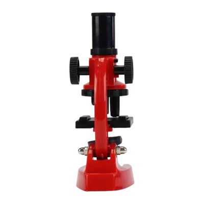 Microscópio Infantil Com Binóculo Educativo - Bbr Toys