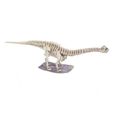 Livro Desenterre um Dinossauro: Diplodoco - Todolivro