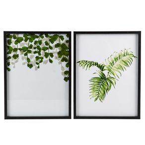 Quadro-MDF-Vidro--30x40cm--CV212729-Jungle-House-Sortido-1722972