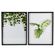 Quadro-MDF-Vidro--30x40cm--CV212729-Jungle-House-Sortido-1722972