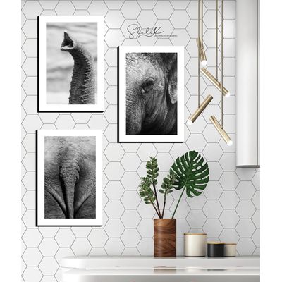 Quadros Placas mdf 6mm sala quarto elefante 3 un 29x20