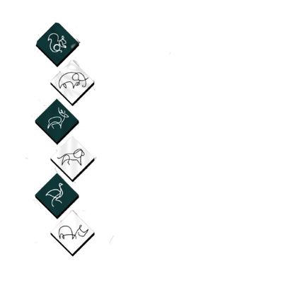 Quadros Placas mdf 6mm quarto sala animais 6 un 10x10