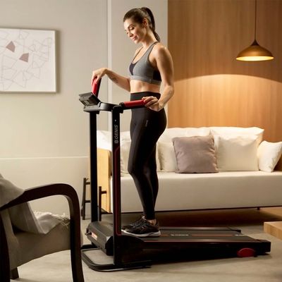 Esteira Ergométrica Dobrável GT 500 Genis Polishop ND / ND / Bivolt