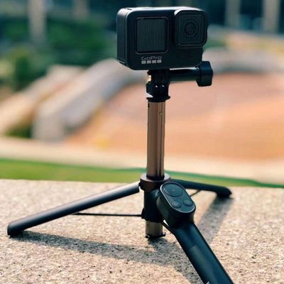 Bastão Com Controle Remoto Para Gopro 8/9/10 E Max - Telesin