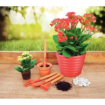 Conjunto P/ Vasos Cabo Madeira 4 Pçs Tramontina