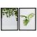 Quadro-MDF-Vidro--30x40cm--CV212729-Jungle-House-Sortido-1722972