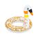 Boia-Circular-Animais-com-Glitter-61cm-x-58-5cm-Bestway-36306-Sortida-1736671d