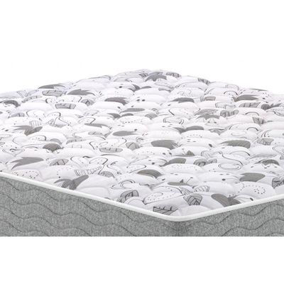 Colchão Casal Espuma D45  / EP Anatômico Guarda Costas Próextreme Double Face (138x188x22) - Probel