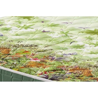 Cama Box Queen: Colchão Anatômico Anjos D28/EP Pantanal + Base CRC Courano White(158x198)