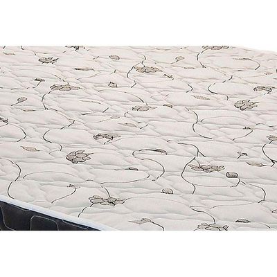 Cama Box Queen: Colchão Anatômico Anjos D28/AG65 Pantanal Thierry + Base CRC Suede Black(158x198)